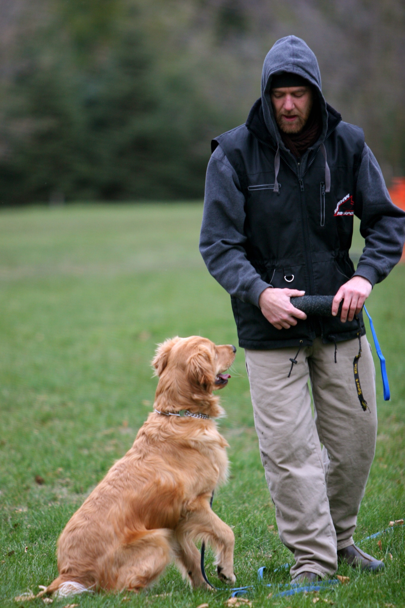 The finest Dog Training in Hudson, WI