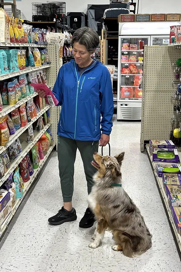 dog training in hudson wi